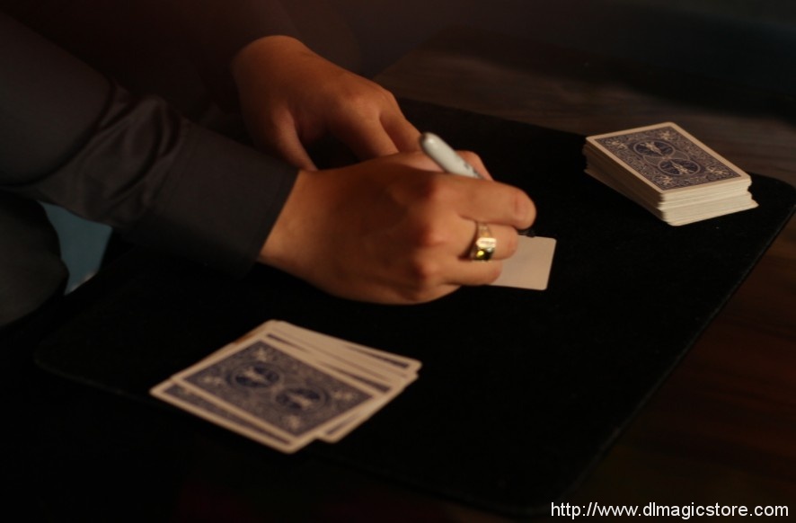 Never Wrong by David Luu