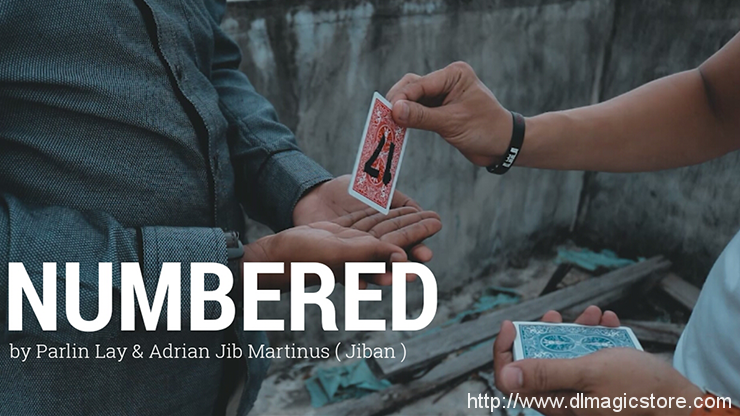Numbered by Parlin Lay video (Download)