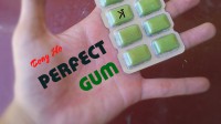 Perfect Gum by Tony Ho and Kelvin Trinh Presents (Instant Download)