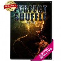 Perfect Shuffle by Biz – Exclusive Download