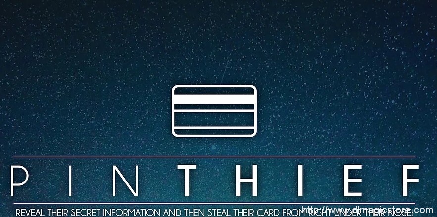 Pin Thief by Jamie Daws