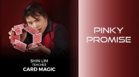 Pinky Promise 1 and 2 by Shin Lim (Single Trick)