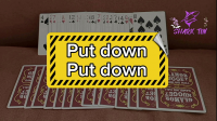 Put down – Put down by Shark Tin and JJ team