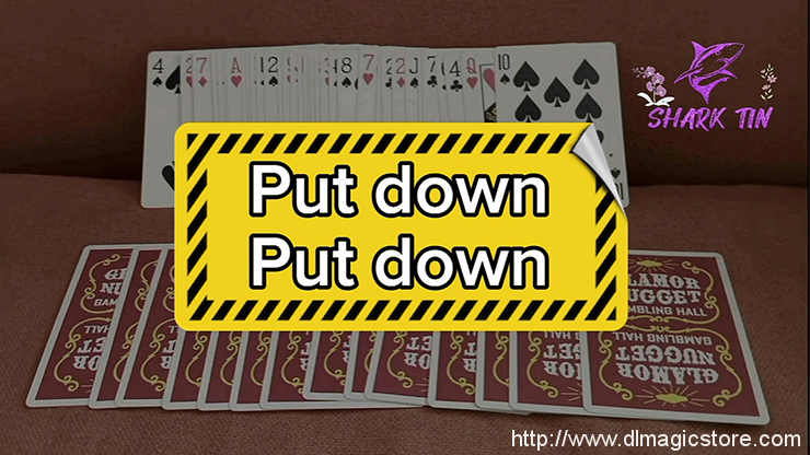 Put down – Put down by Shark Tin and JJ team