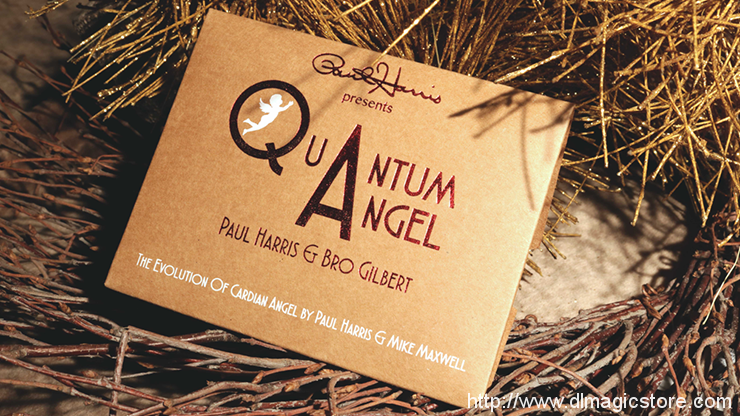 Quantum Angel by Paul Harris