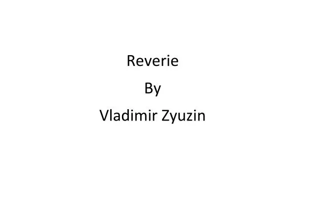 REVERIE by Vladimir Zyuzin (OTTOEMEZZO)