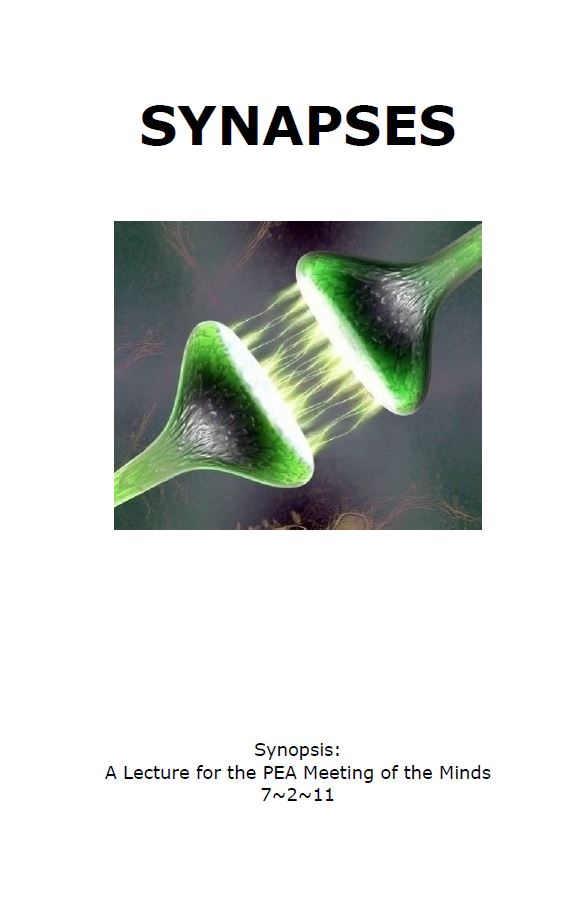 Raj Madhok – Synapses