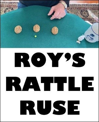 Roy’s Rattle Ruse by Roy Eidem