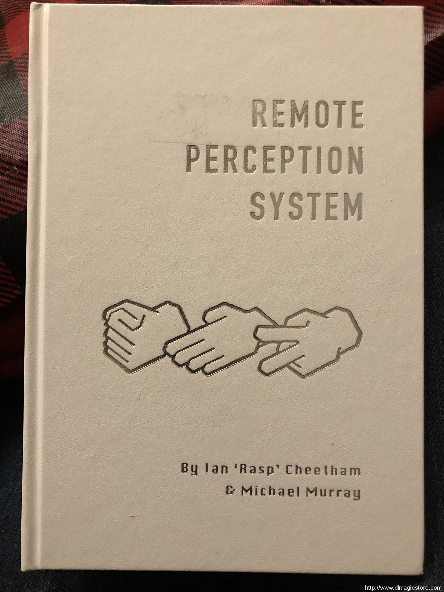 Remote Perception System by Michael Murray