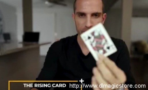 Rising Card by Stephane Vanel