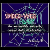 SPIDER-WEB by Joseph B (Instant Download)