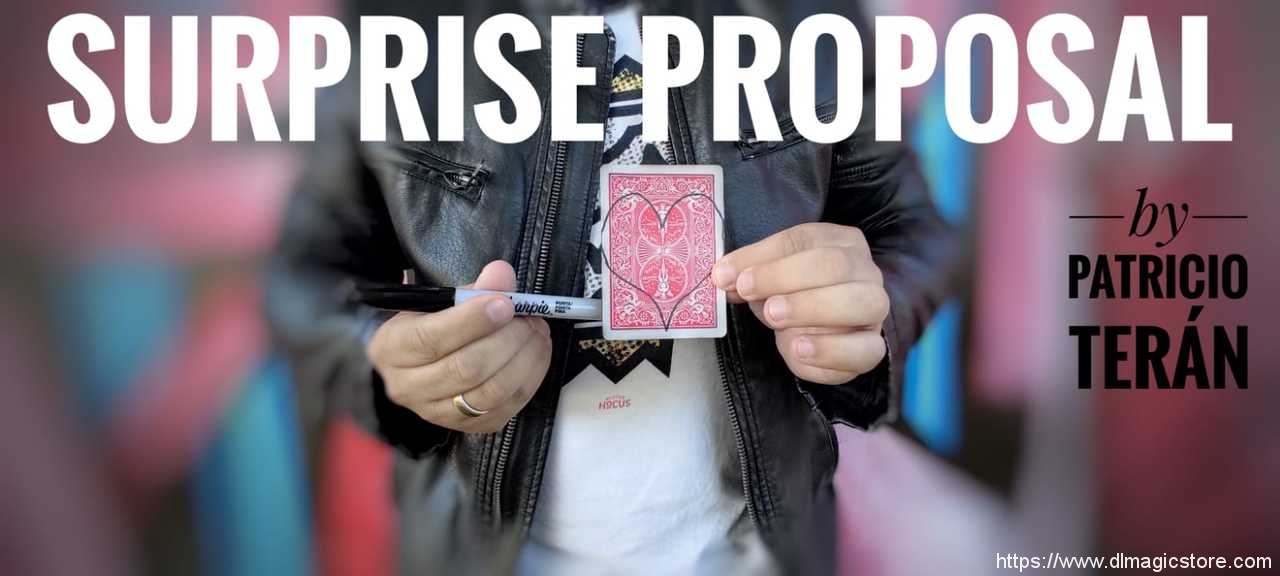 SURPRISE PROPOSAL BY PATRICIO TERAN (Instant Download)