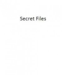 Secret Files by Vladimir Zyuzin