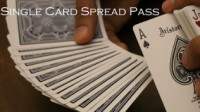 Magic Encarta Presents Single Card Spread Pass by Vivek Singhi