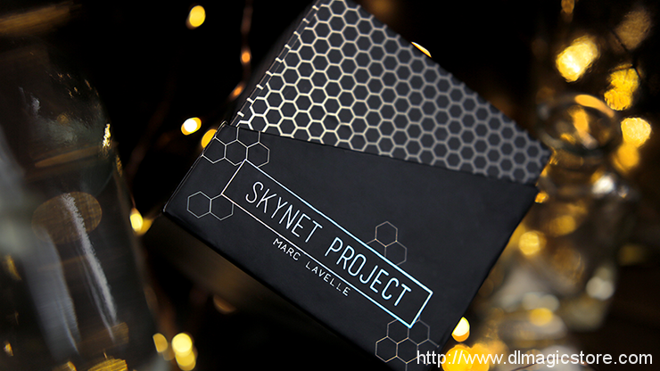 Skynet Project by Marc Lavelle (Instruction Video Only)