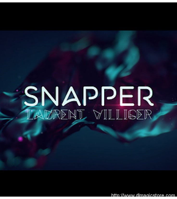 Snapper by Laurent Villiger
