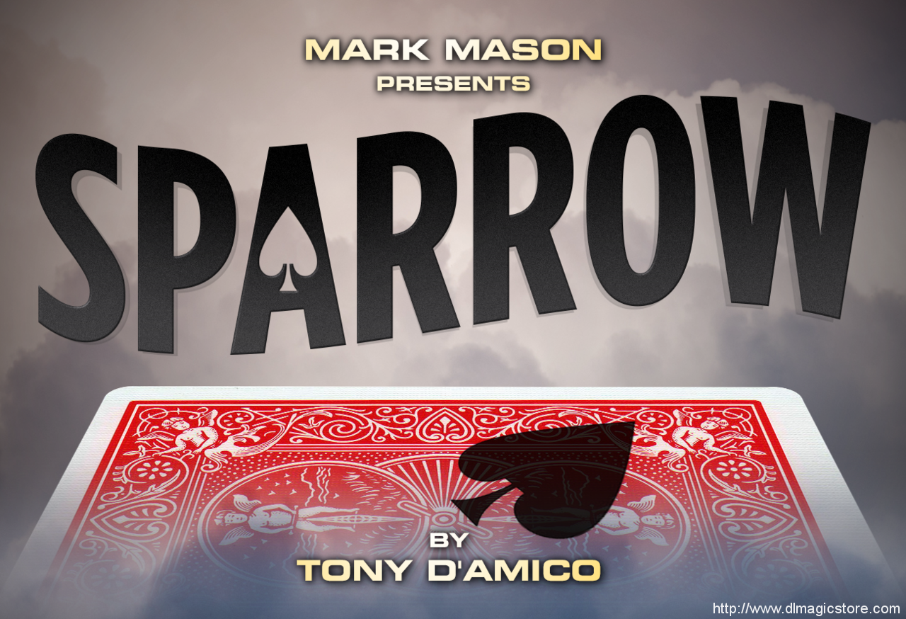 Sparrow By Tony D’Amico