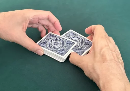 Special Report #1 October 2024 by Steve Forte