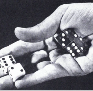 Special Report #10 July 2025 by Steve Forte