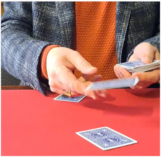 Special Report #11 August 2025 by Steve Forte