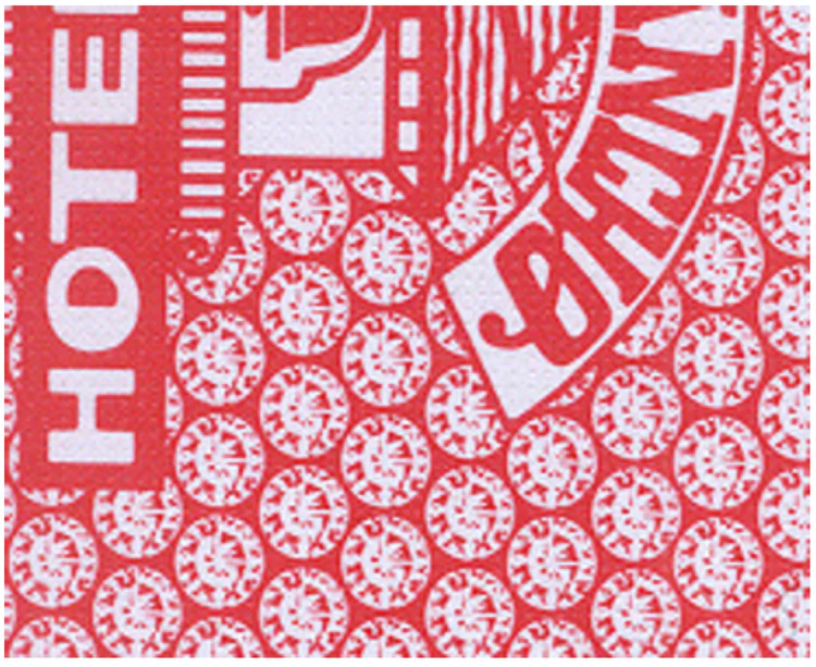 Special Report #9 June 2025 by Steve Forte