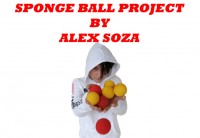 Sponge Ball Project by Alex Soza