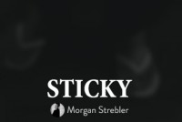 Sticky by Morgan Strebler PDF download