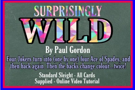 Surprisingly Wild by Paul Gordon