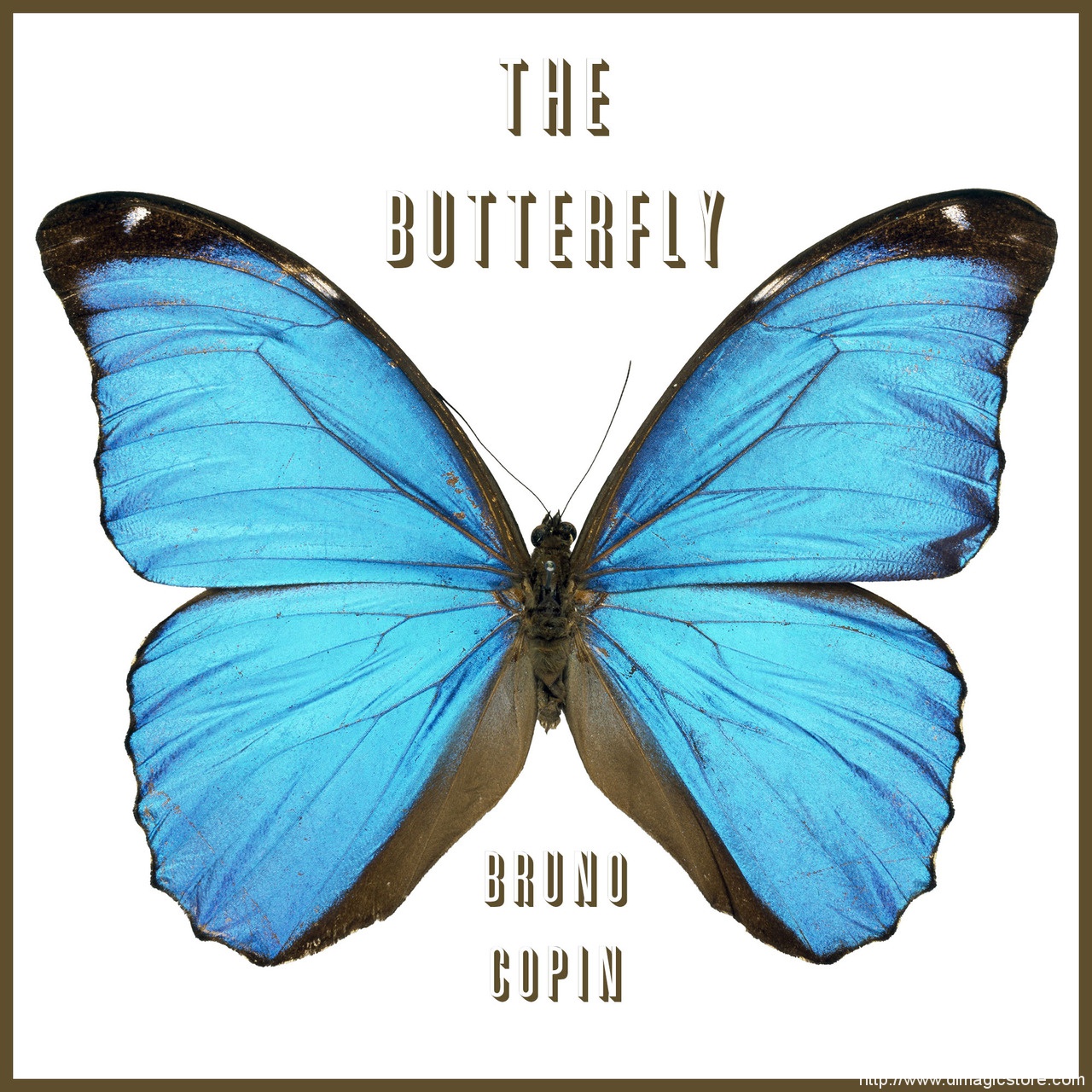 The Butterfly by Bruno Copin