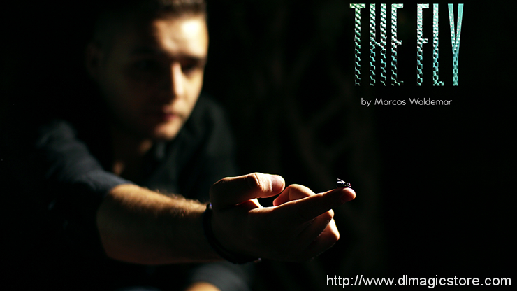 The FLY by Marcos Waldemar