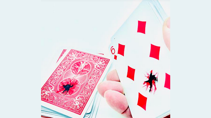 The Fly by Ronjo Magic