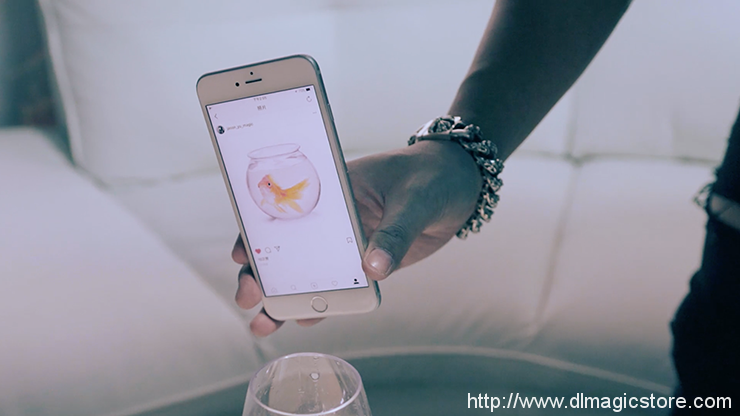 The Instagram Project by SansMinds