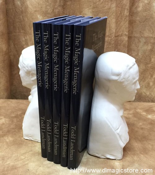 The Magic Menagerie by Todd Landman