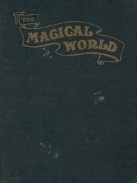 The Magical World by Max Sterling