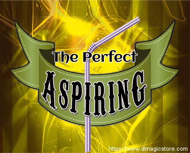 The Perfect Aspiring by Daniel Raley
