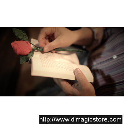 The Saint-Exerpury Rose by Vincent Mendoza and Lost Art Magic