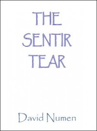 The Sentir Tear by David Numen