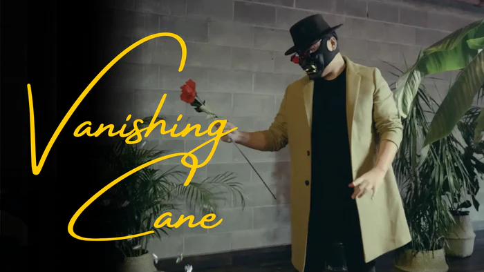 The Vanishing Cane by Bojan Barisic