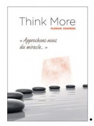Think More de Florian CHAPRON – (C.A.A.N.) (French PDF)