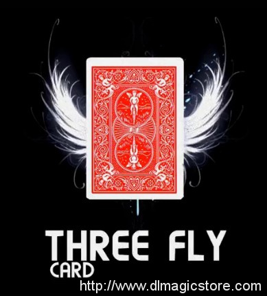 Three Fly Card by Mickael Chatelain