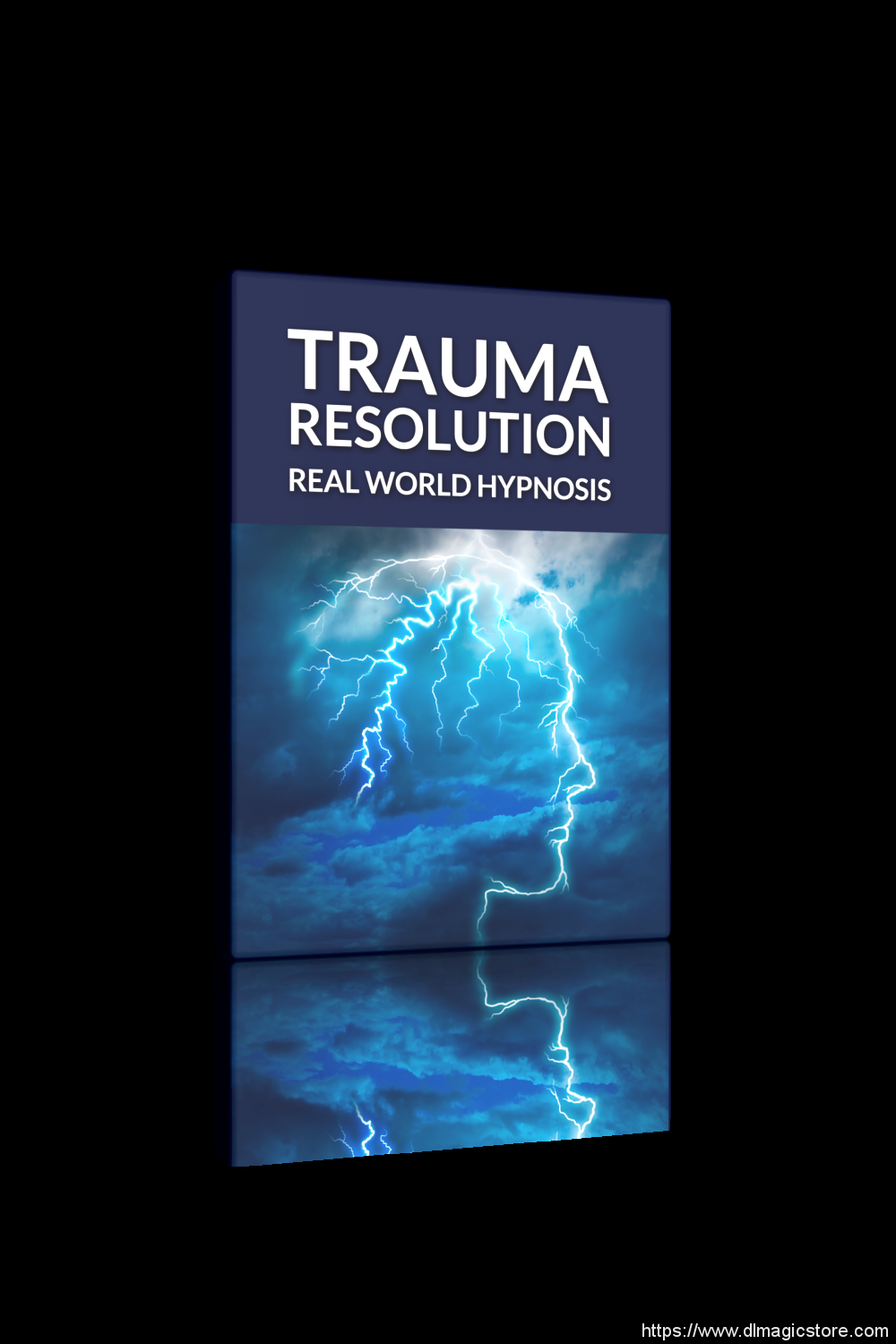 Real World Hypnosis : Trauma Resolution by David Snyder