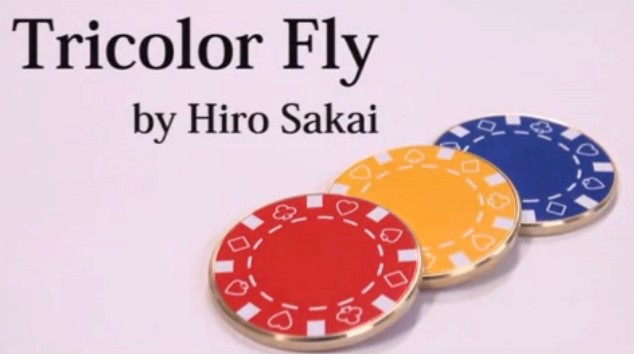 Tricolor Fly by Hiro Sakai