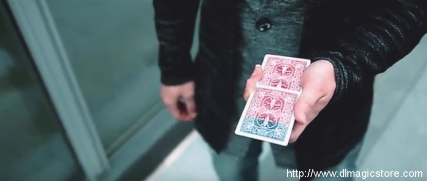 Ture Colors By Eric Chien