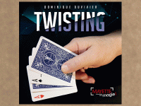 Twisting by Dominique Duvivier