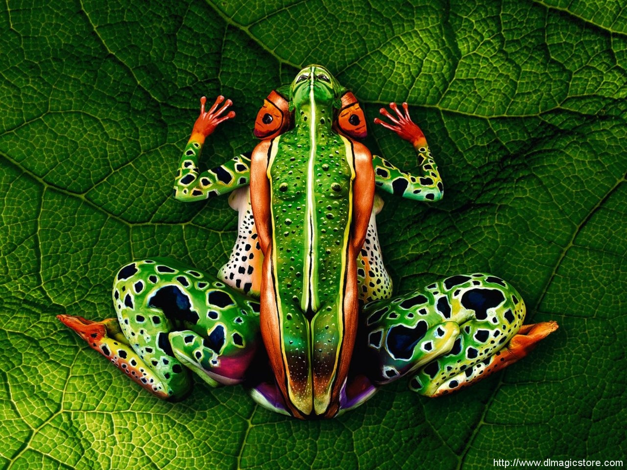 Use Your Illusions By Bazz (Instant Download)