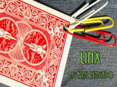 LinX by Arnel Renegado