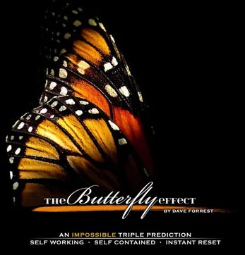 The Butterfly Effect by Dave Forrest