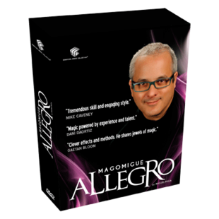 Allegro by Mago Migue and Luis De Matos