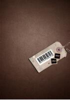 Here’s To You Mr Robinson by Looch