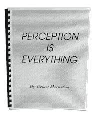 Perception Is Everything by Bruce Bernstein